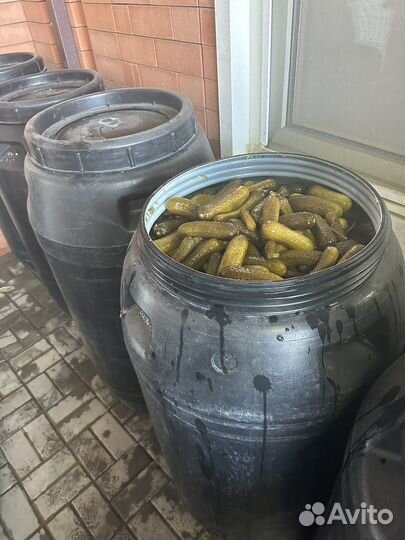 Огурцы соленые бочковые