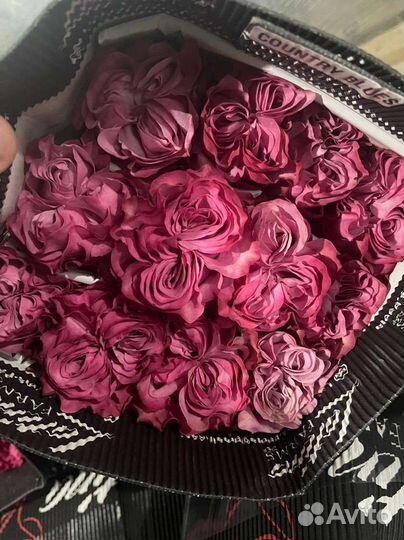 Эквадорская роза от склада. Роза от 25 шт