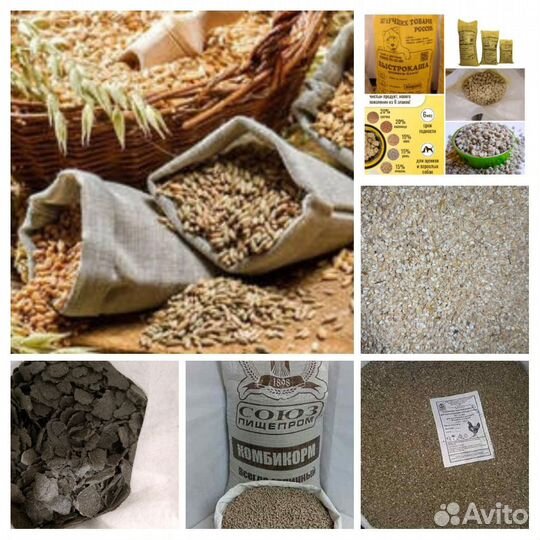 Зерно, Комбикорм, кормовые добавки