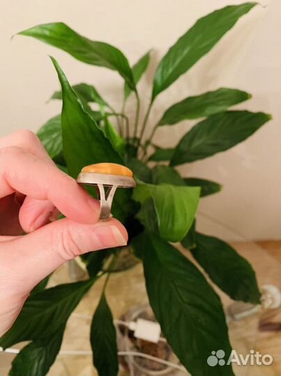 Серебряное кольцо янтарь