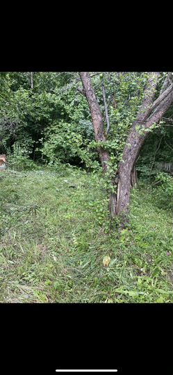 Дача 21,2 м² на участке 4 сот.