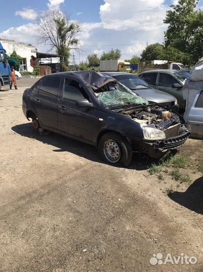 Разбор калина