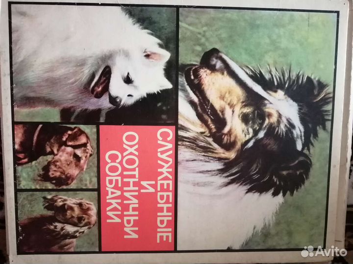 Сувенирный набор спичек СССР