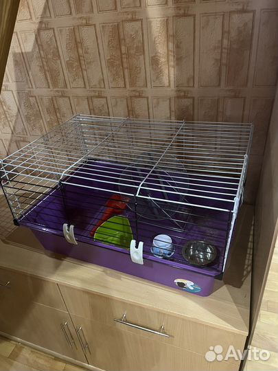 Клетка для грызунов бу