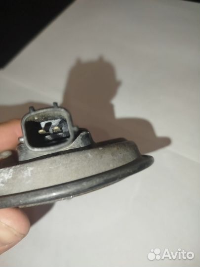 Звуковой сигнал kia spectra