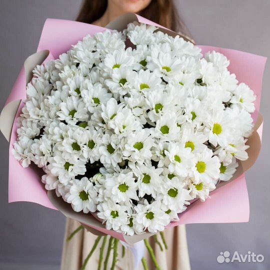 Хризантемы Букет Хризантем Цветы в Красноярске