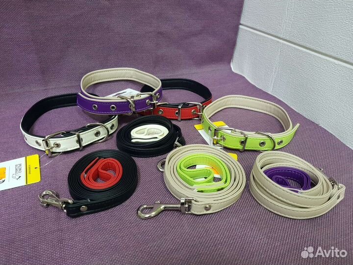 Набор; ошейник и поводок