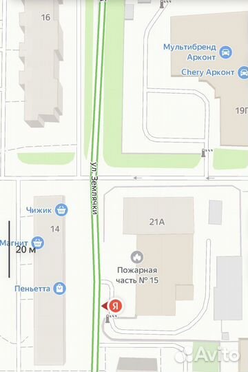 Серый кот в добрые руки