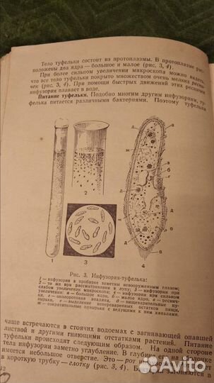 Антикварная книга 