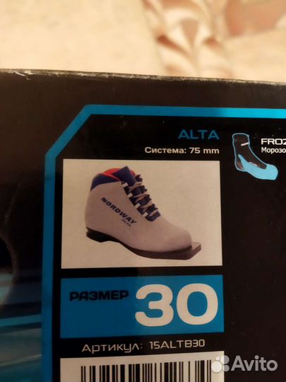 Лыжные ботинки