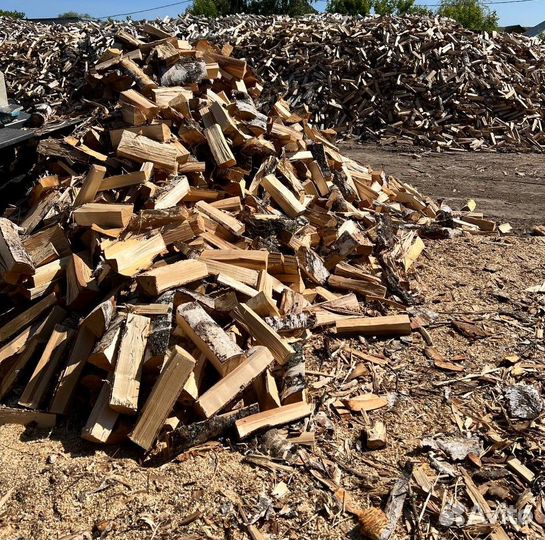 Дрова березовые доставка