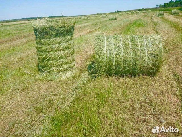 Сено в тюках