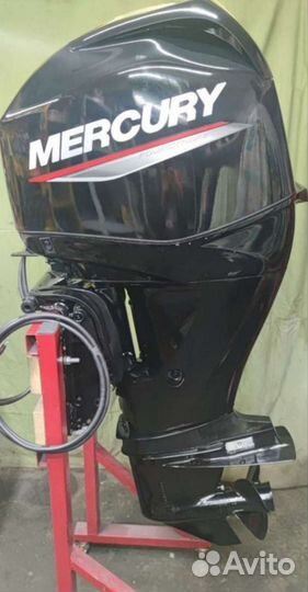 Mercury F60 elpt EFI