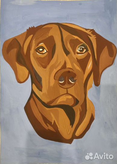 Графический дизайнер