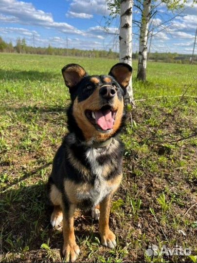 Характер чудо