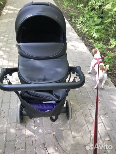 Коляска anex e type 2 в 1
