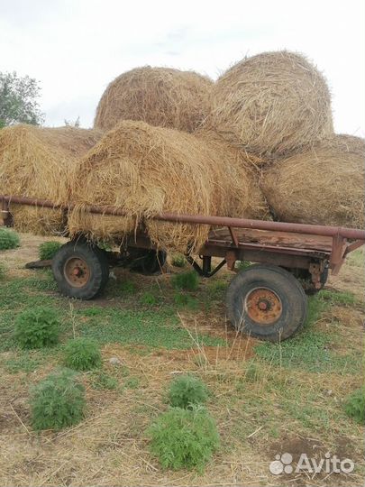 Инвентарь для содержания крс