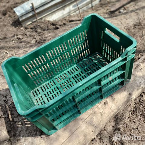 Ящики пластиковые для овощей