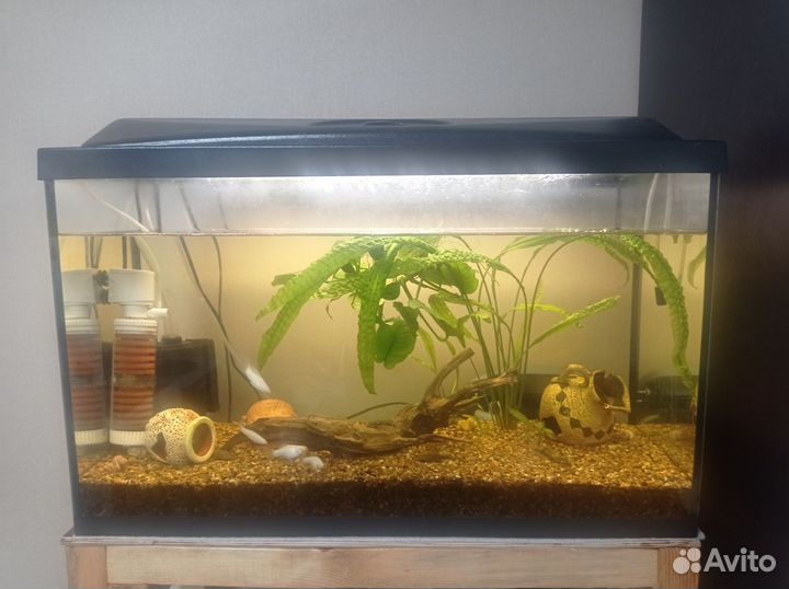 Аквариум