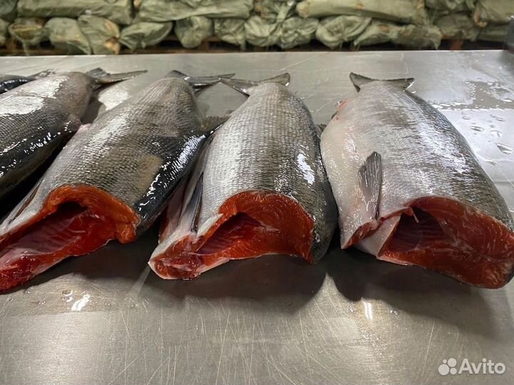 Нерка пбг оптом