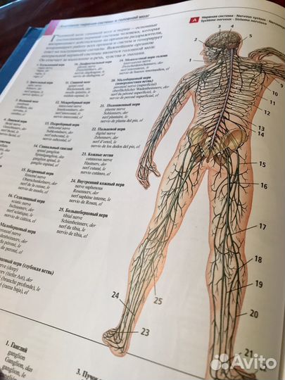 Большой иллюстрированный словарь