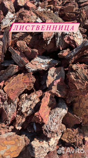 Кора мульча сосны, листвиницы