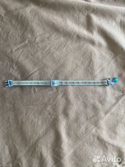 Ошейник для маленькой собаки