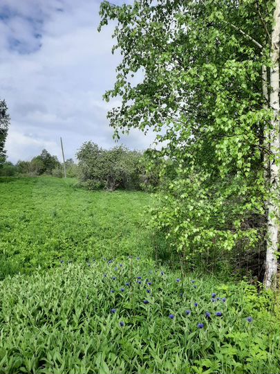 Участок 13 сот. (ИЖС)