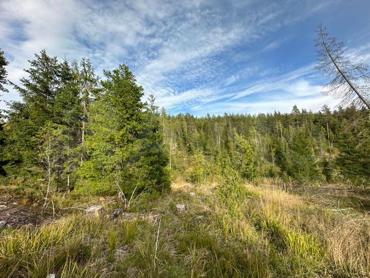 Участок 10 сот. (СНТ, ДНП)