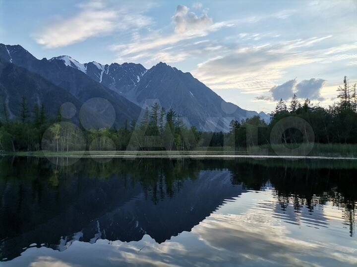 Участок 35 га (СНТ, ДНП)