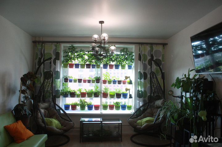 Горшки для цветов 15л, 4., 2л, 1.5л, 1л, 0,6, 0,35