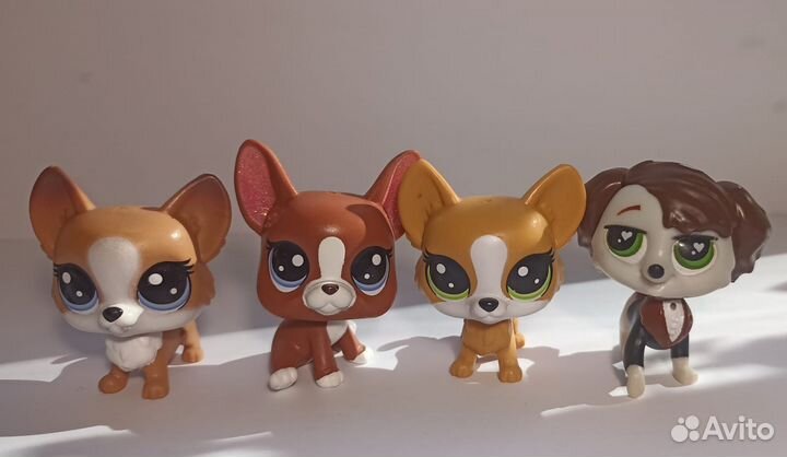 Littlest pet shop