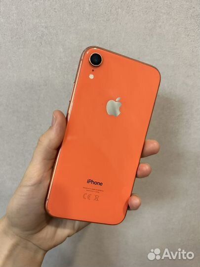 iPhone XR