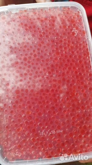 Икра красная оптом и в розницу