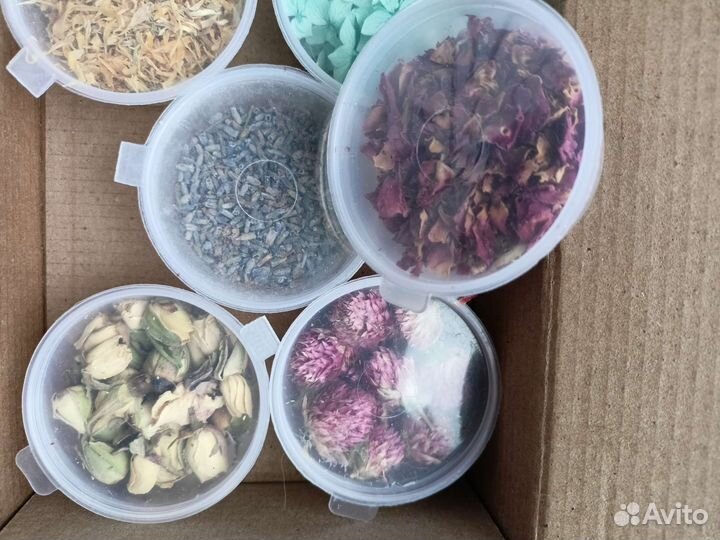 Сухоцветы для творчества