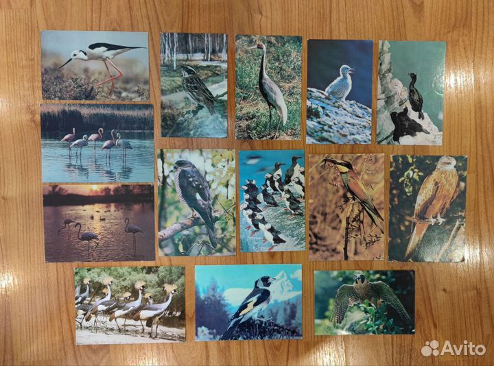 Открытки СССР