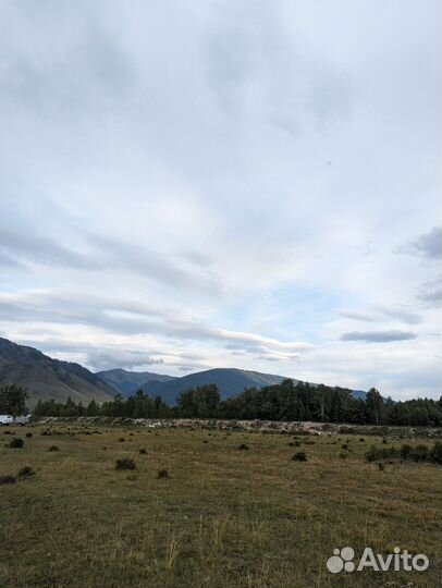 Помощница,помощник по хозяйству