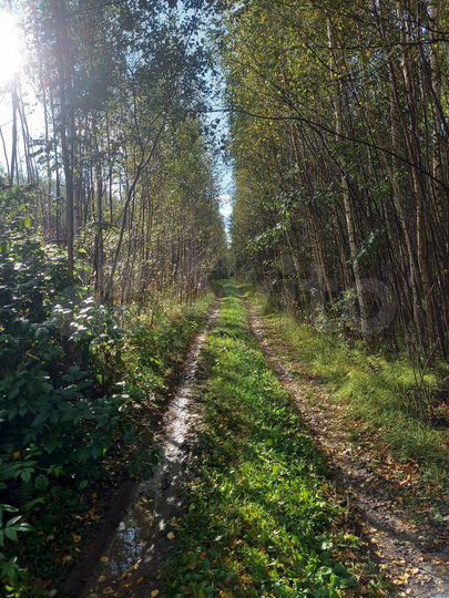 Участок 1,02 га (ИЖС)