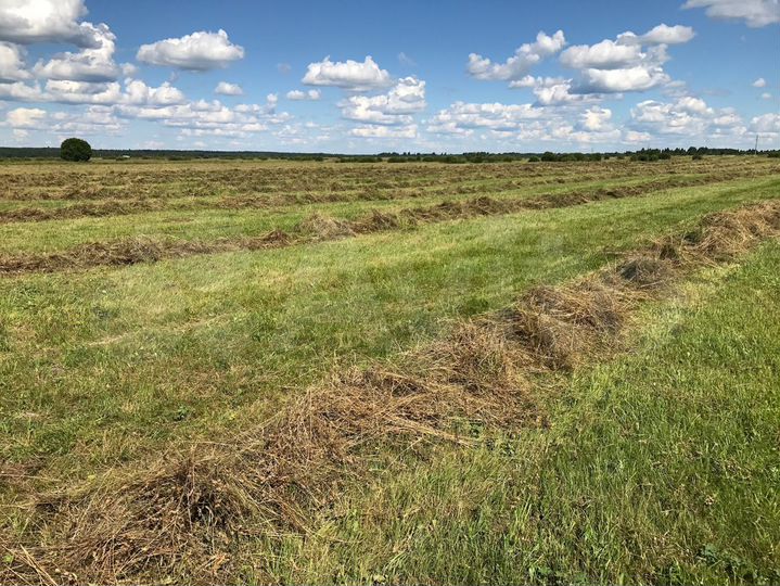 Участок 235 га (СНТ, ДНП)