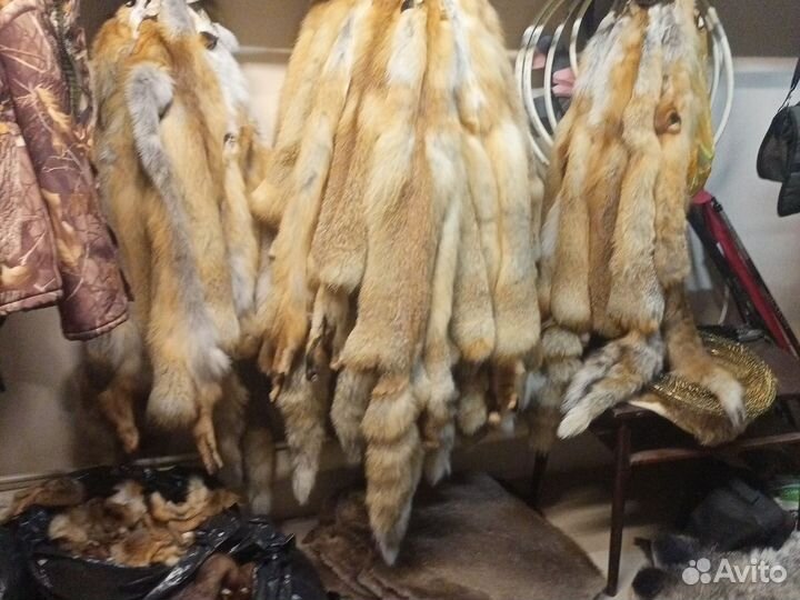 Шкуры норки, енота