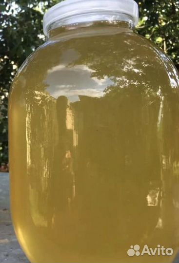 Мёд свежий майский 2023г