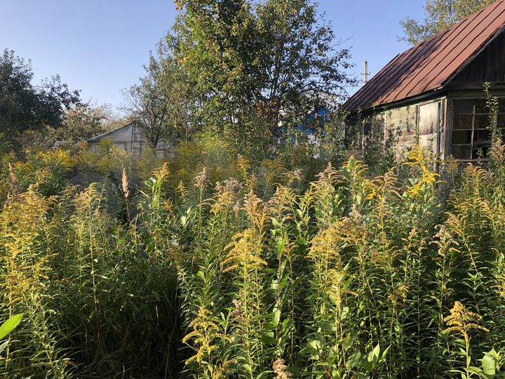 Участок 6 сот. (СНТ, ДНП)