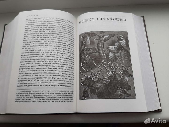 Книга Альфред Брем Жизнь животных