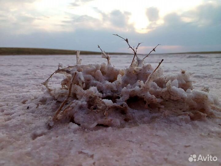 Экскурсия на Бархан Большой брат и солёное озеро