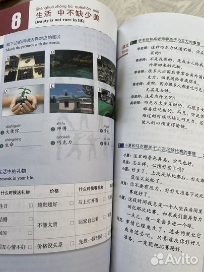 HSK Standard Course 4 Shang