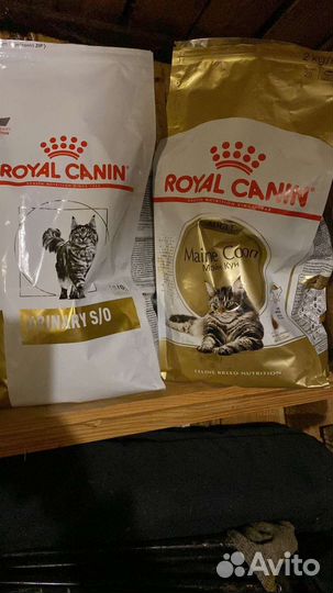 Корм для кошек