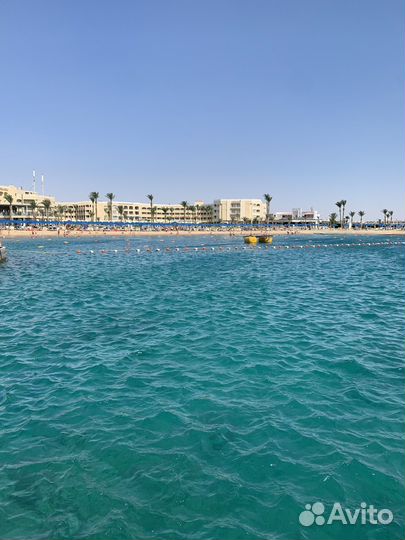 Горящий тур в Египет