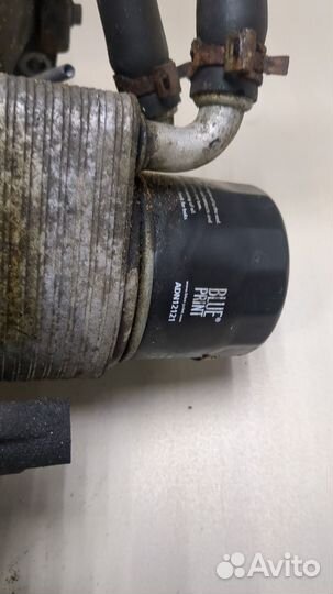 Насос масляный Renault Scenic, 2010