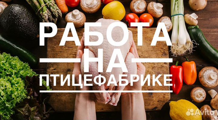 Рабочий на птицефабрику вахта Невинномысск