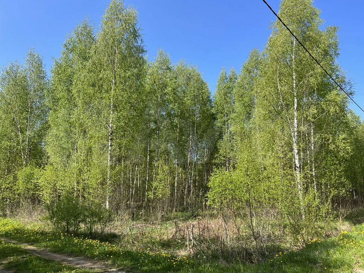 Участок 15 сот. (СНТ, ДНП)